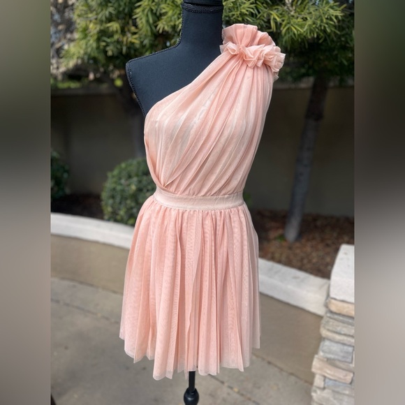 ASOS pink tulle dress. Size 6 - Picture 2 of 10